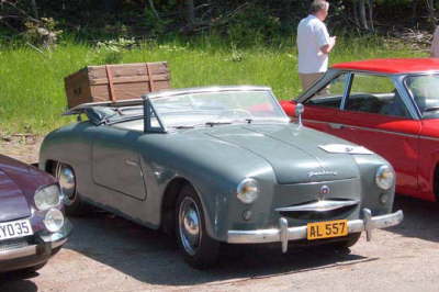 Junior_grey-01a